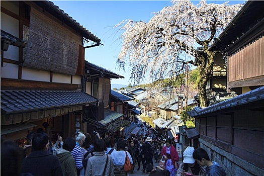 清水寺,庙宇,京都