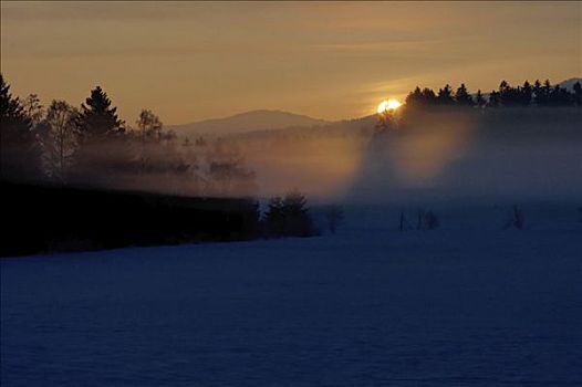 日出,雾,冬天
