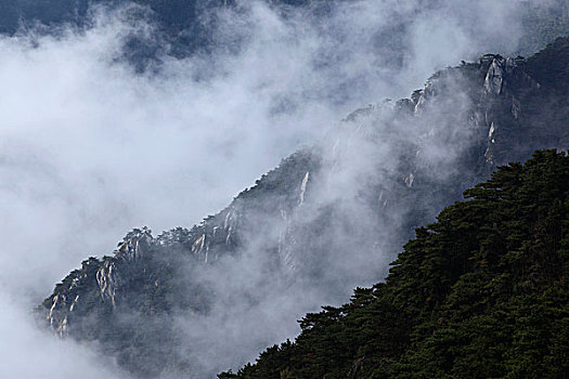 山,云海,雾