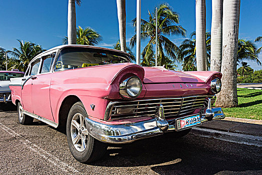 古巴,巴拉德罗,半岛,老爷车,棕榈树,福特汽车