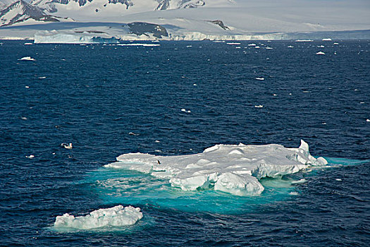 南极,南极海峡,冰山