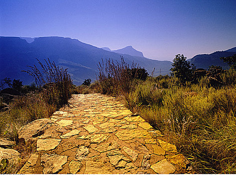 石头,道路,峡谷,布莱德河峡谷,自然保护区,南非
