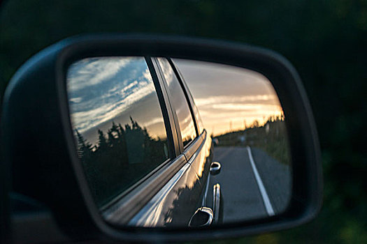 反射,汽车,侧面,倒影,纽芬兰,拉布拉多犬,加拿大