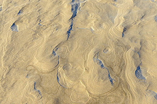 风,形状,沙子,海滩,夏天,北方,日德兰半岛,丹麦