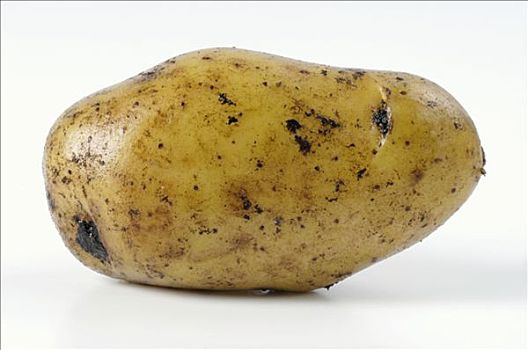 土豆,品种