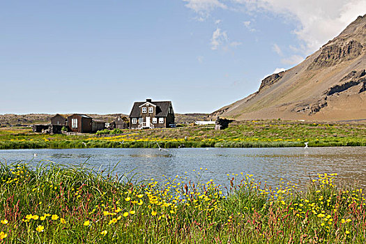 度假屋,斯奈山半岛,冰岛,欧洲