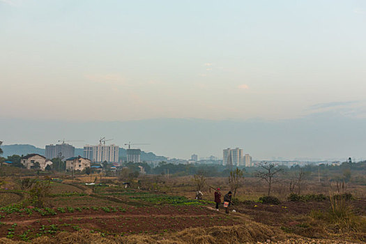 城市,农村