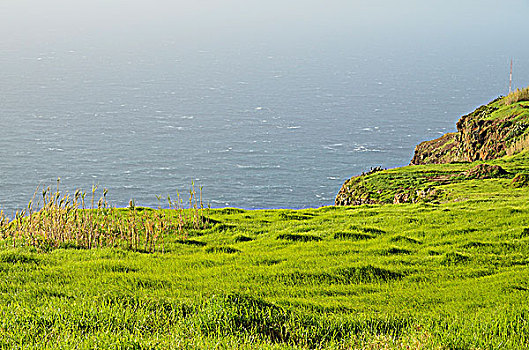 海岸,靠近,马德拉岛,葡萄牙