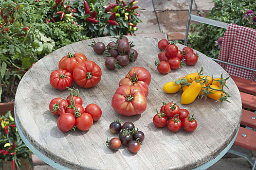 西红柿,托盘,圆,庭院桌