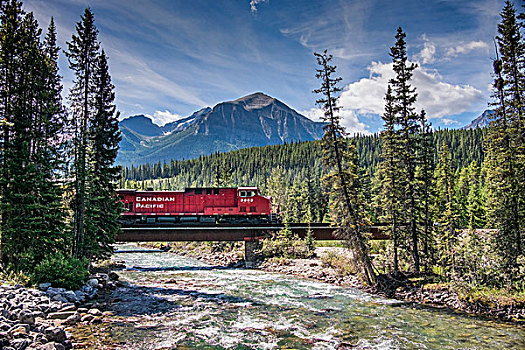 加拿大,太平洋,列车,穿过,桥,上方,弓河,后背,山,落矶山