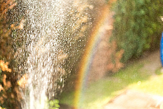 彩色,夏天,花园,浇水,彩虹