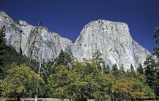 船长峰,堤岸,默塞德河,优胜美地山谷,加利福尼亚,美国