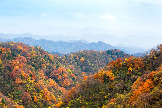 陕西汉中留坝太子岭秋天红叶