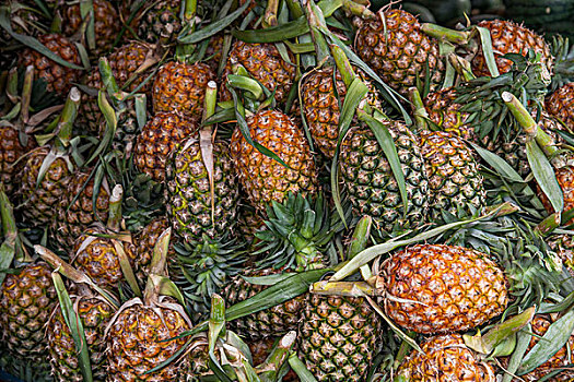 泰国清迈古城里的水果市场---菠萝
