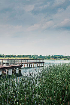 湖南长沙夏季松雅湖湿地公园风景