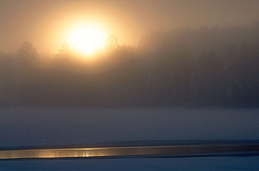 模糊,冬天,早晨,芬兰