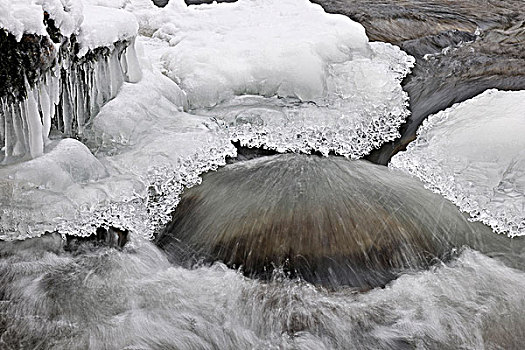 冰层,河,瑞士