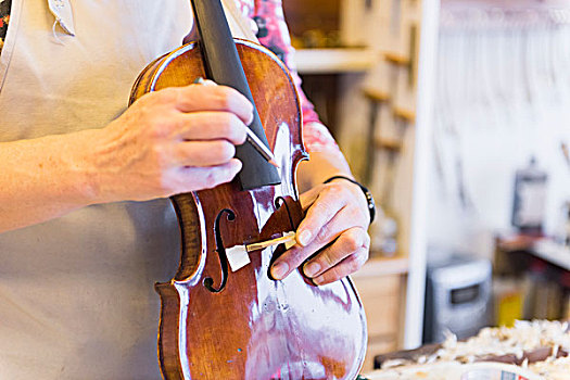 小提琴工匠,制作,小提琴,工作室