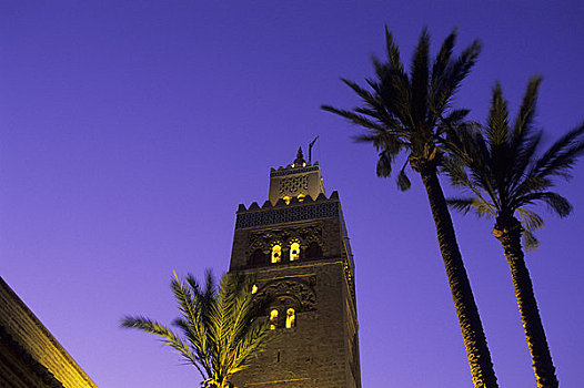摩洛哥,玛拉喀什,库图比亚清真寺,清真寺,尖塔,棕榈树,夜晚,照片