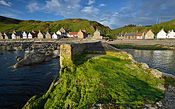 沿岸,风景,绿色,藻类,码头,大,石头,捕鱼,乡村,班夫郡,英国,苏格兰,欧洲