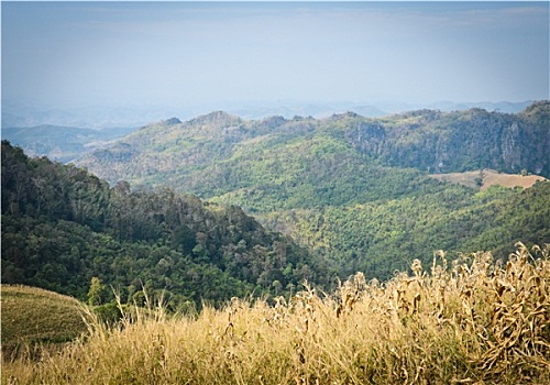 青山,风景