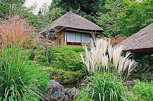 日本,京都,日本传统,茶