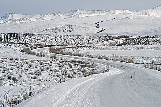 积雪,戴珀斯特公路,冬天,奥基尔维山,育空地区,加拿大,背影