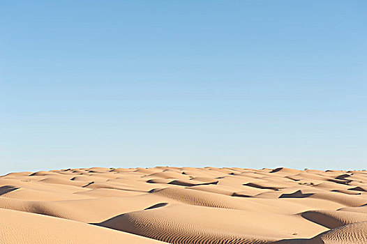孤单,蓝天,沙丘,撒哈拉沙漠,杜兹,南方,突尼斯,北非,非洲
