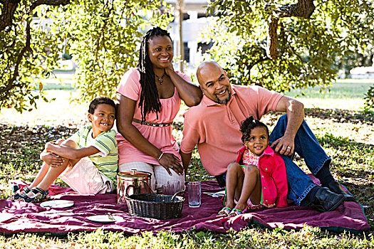 肖像,美国黑人,家庭,野餐,公园