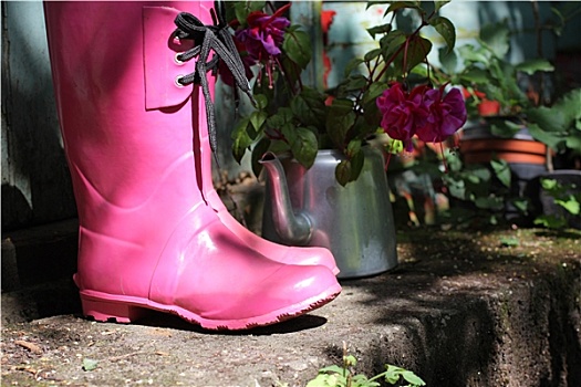 粉色,胶皮靴,花园