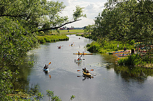 独木舟,河,靠近,马祖里,波兰,省,欧洲