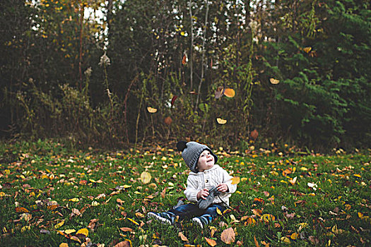 男婴,戴着,绒球帽,坐,草,看,落下,秋叶,微笑