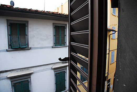 风景,窗户,历史,佛罗伦萨,意大利