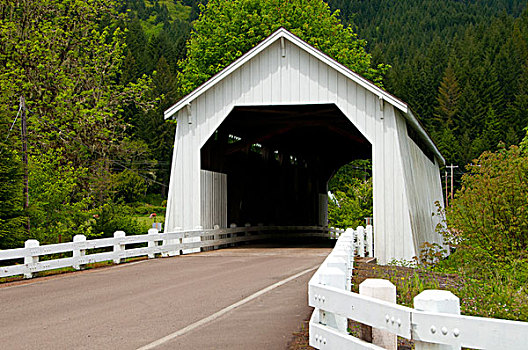 道路,通过,海登廊桥,俄勒冈,美国