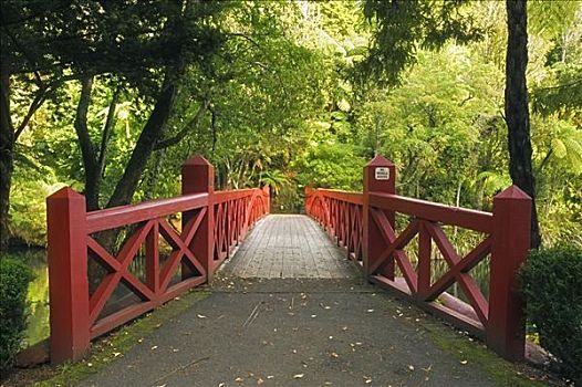 桥,公园,新,普利茅斯,北岛,新西兰
