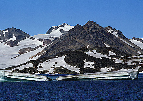 格陵兰,山,靠近,海洋,冰山