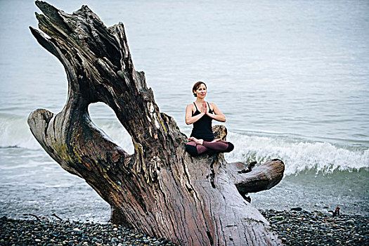 成年,女人,练习,瑜珈,盘腿坐,大,浮木,树干,海滩