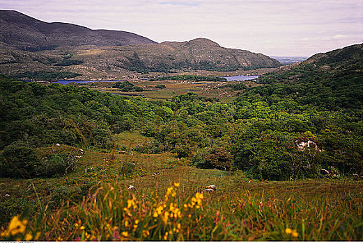 基拉尼国家公园,爱尔兰