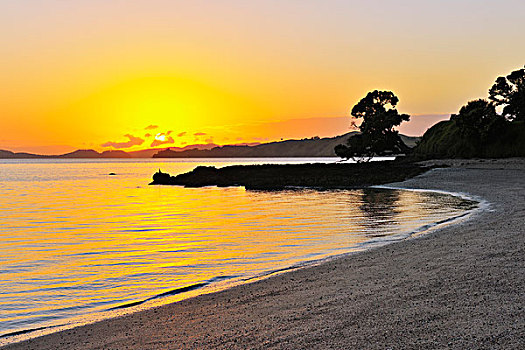 海滩,日出,奥克兰,区域,北岛,新西兰