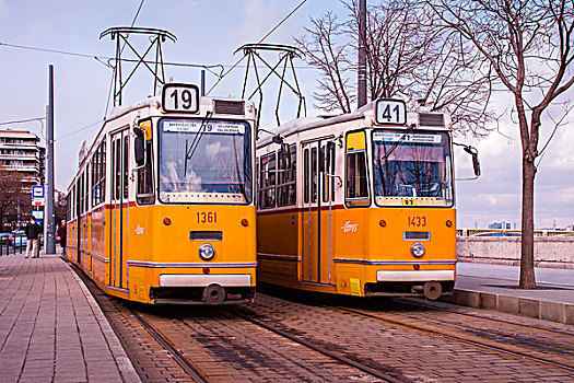 一对,有轨电车,结束,线条,布达佩斯