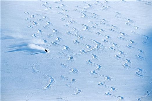 一个人,滑雪,雪中,遮盖