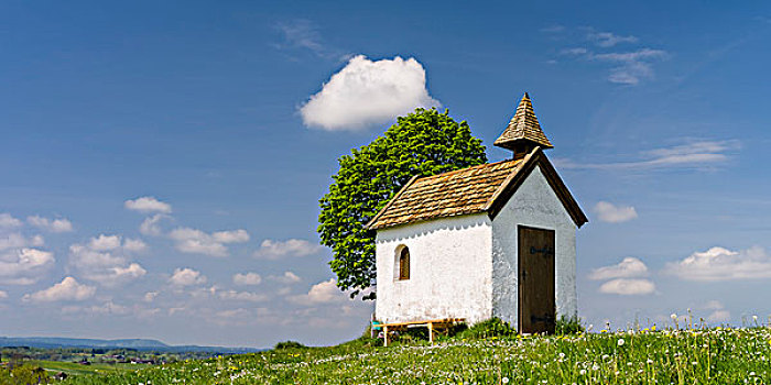 乡村,小教堂,巴伐利亚