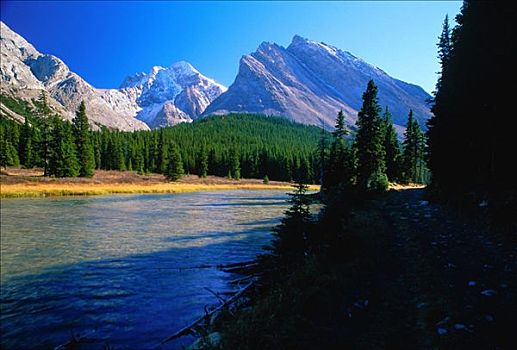 肘,湖,落基山脉,卡纳纳斯基斯县,艾伯塔省,加拿大