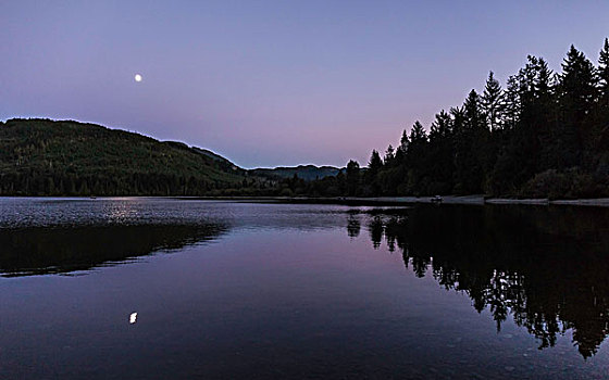 湖,夜晚,湾,温哥华岛,不列颠哥伦比亚省,加拿大