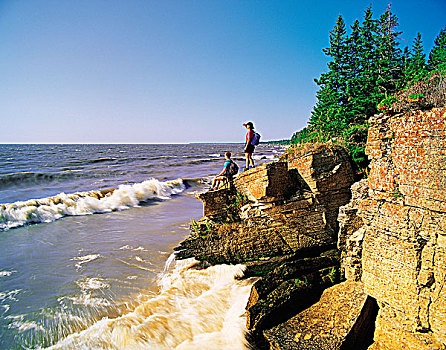 伴侣,沉积岩,悬崖,省立公园,曼尼托巴,加拿大