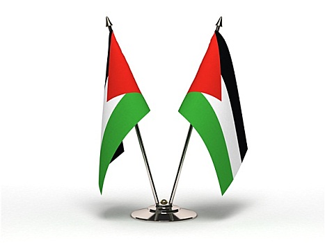 微型,旗帜,巴勒斯坦,隔绝