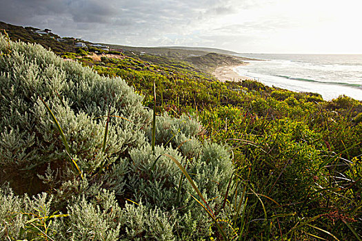 海滩,悬崖,海岸线,西澳大利亚,澳大利亚