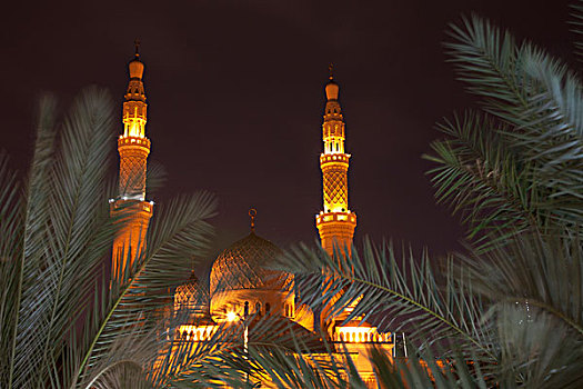 阿联酋,迪拜,清真寺,光亮,夜晚