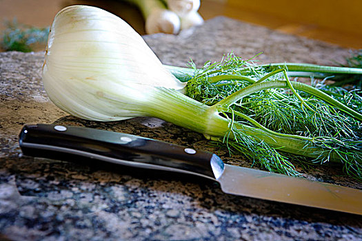 新鲜茴香球,叶,一个厨房,刀