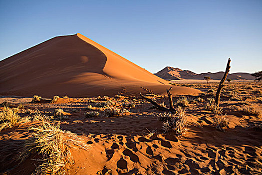 沙丘,索苏维来地区,纳米布沙漠,纳米比亚,非洲